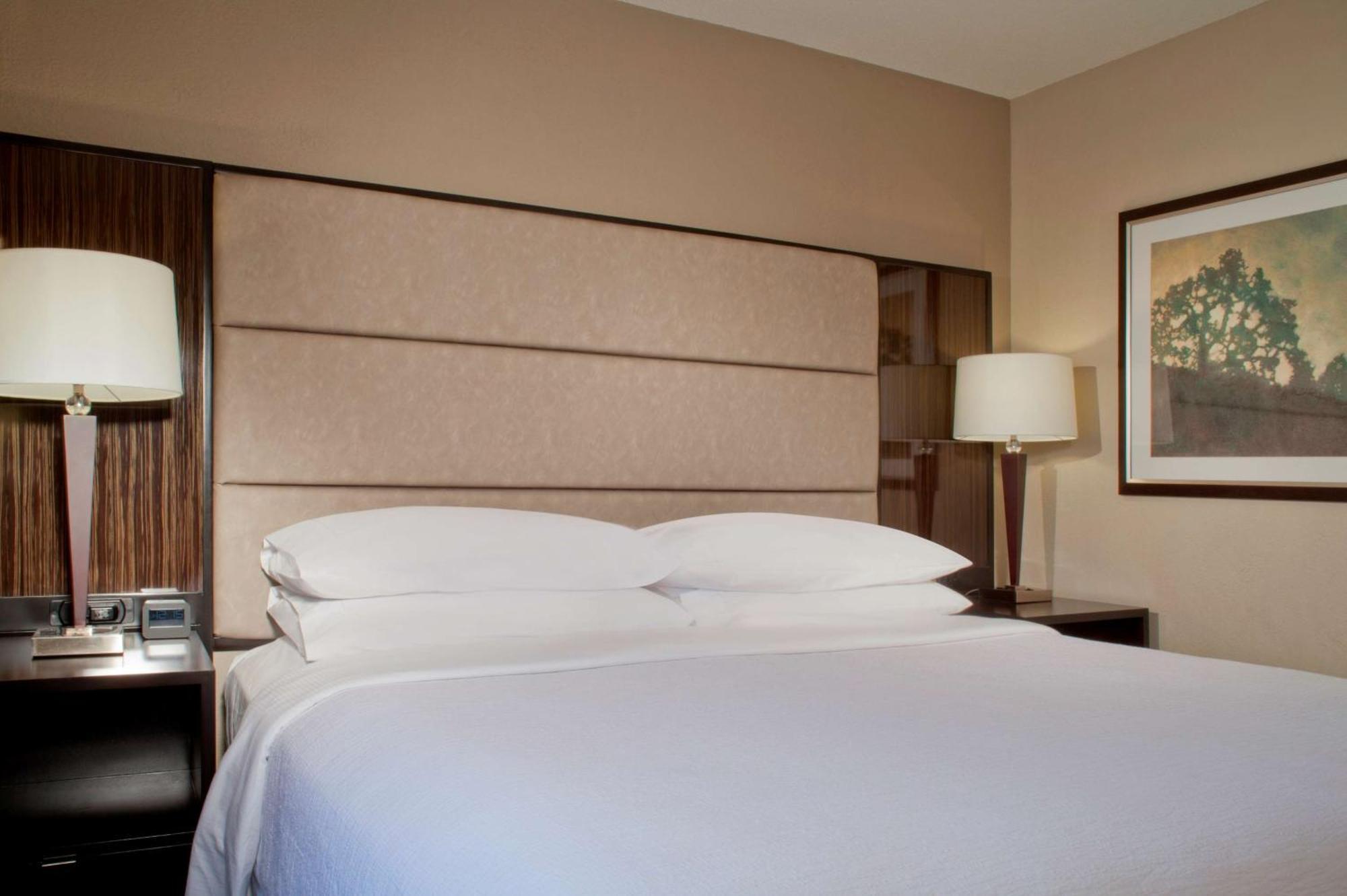 Embassy Suites By Hilton Houston Near The Galleria Exteriér fotografie